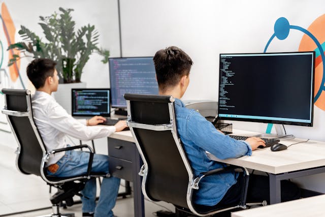 Software-Development